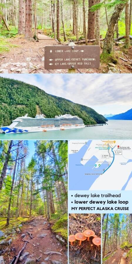 skagway alaska: lower dewey lake trail. forest hike in skagway