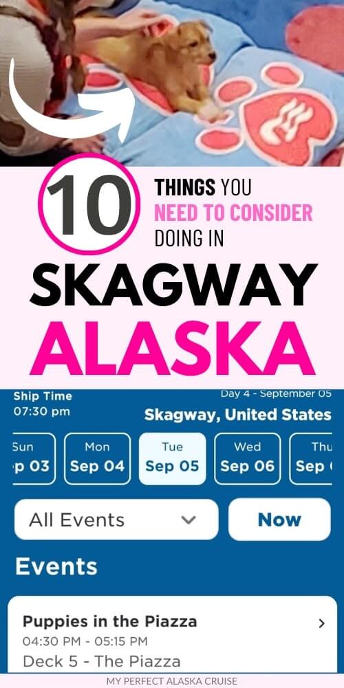 skagway alaska things to do: puppies in the piazza, princess cruise ship