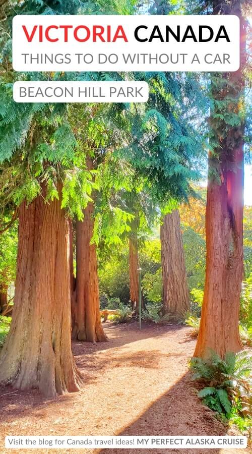 beacon hill park walk. free things to do in victoria