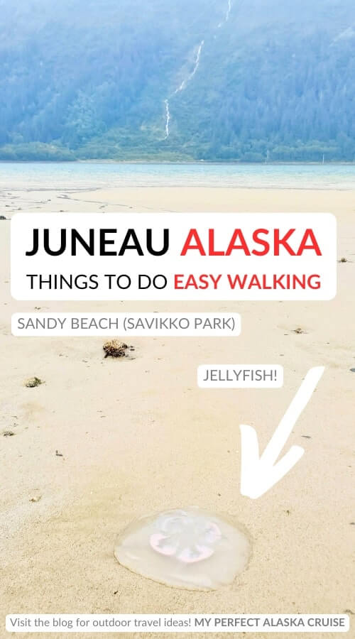 easy walking in juneau: sandy beach jellyfish