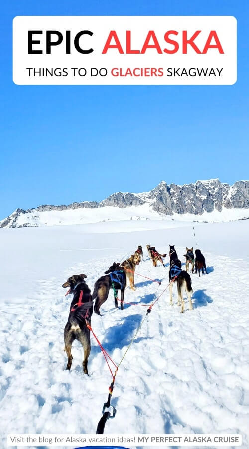 best dog sledding glacier tours. best alaska glaciers. best skagway glacier excursions
