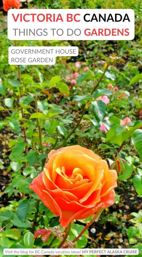 government house rose garden. victoria bc gardens