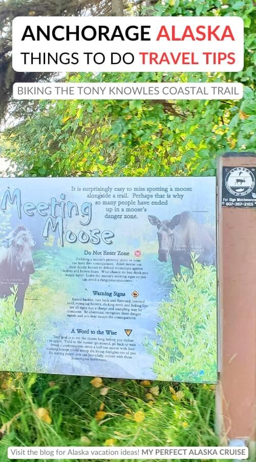 where to see moose in anchorage. things to do in downtown anchorage without a car