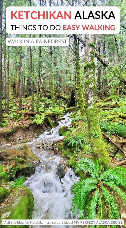 walking in ketchikan cruise port rainforest hiking