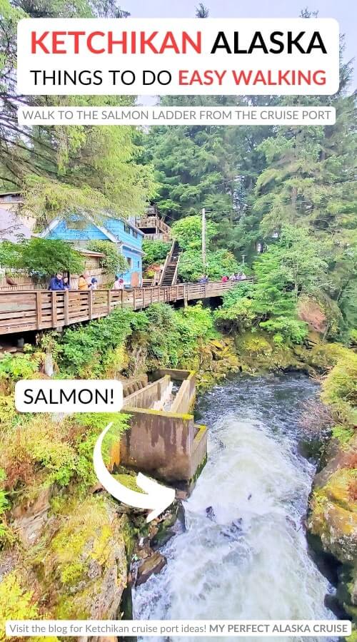 walking from ketchikan cruise port to salmon ladder and creek street. alaska cruise free things to do