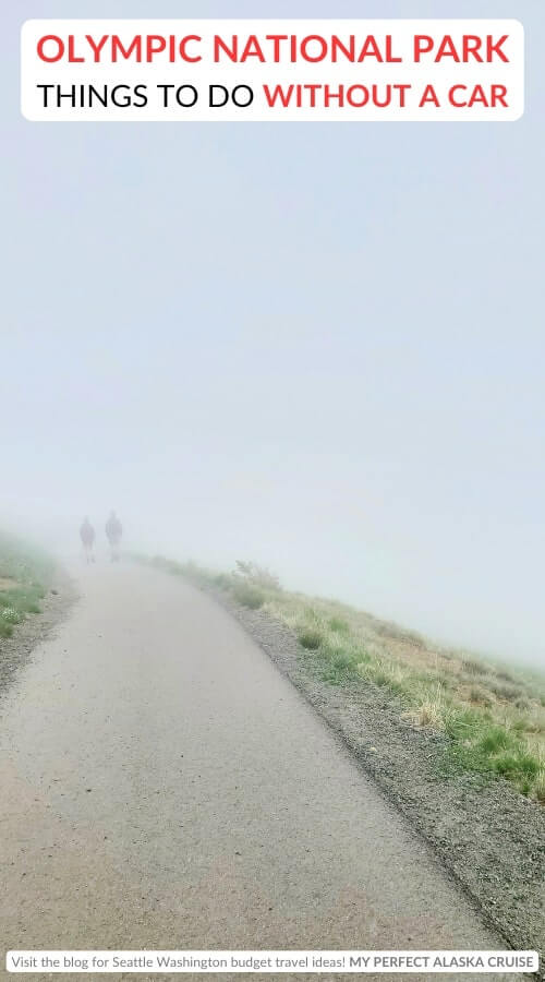 hurricane ridge hikes: hurricane hill trail. olympic national park without a car