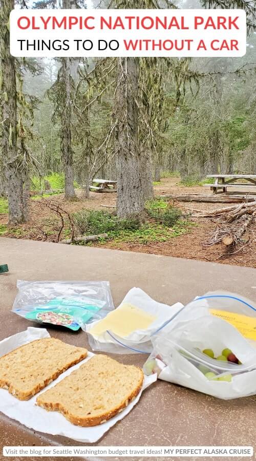 olympic national park without a car food to bring