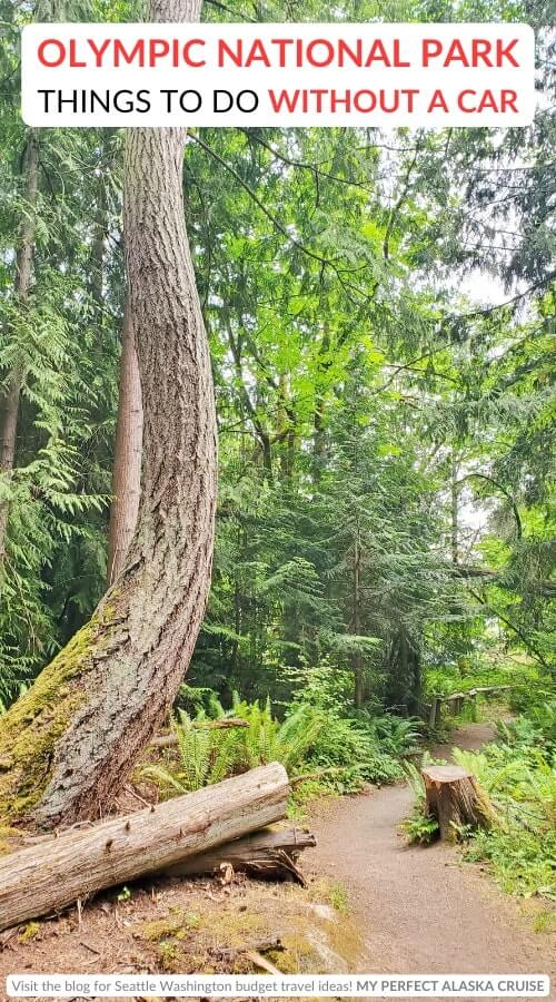 living forest trail: olympic national park visitor center trails