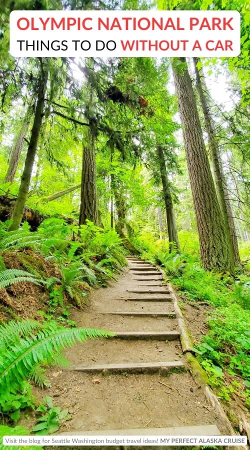 peabody creek loop trail: olympic national park visitor center trails