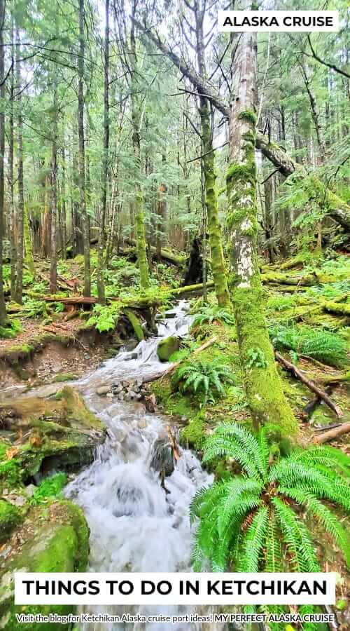 fun rainforest tours in ketchikan alaska
