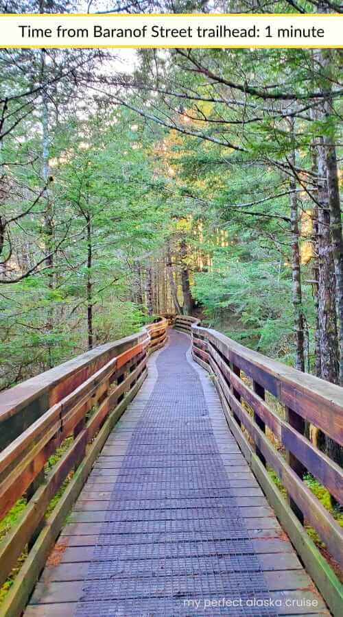 starting the hike to sitka cross trail from baranof street trailhead