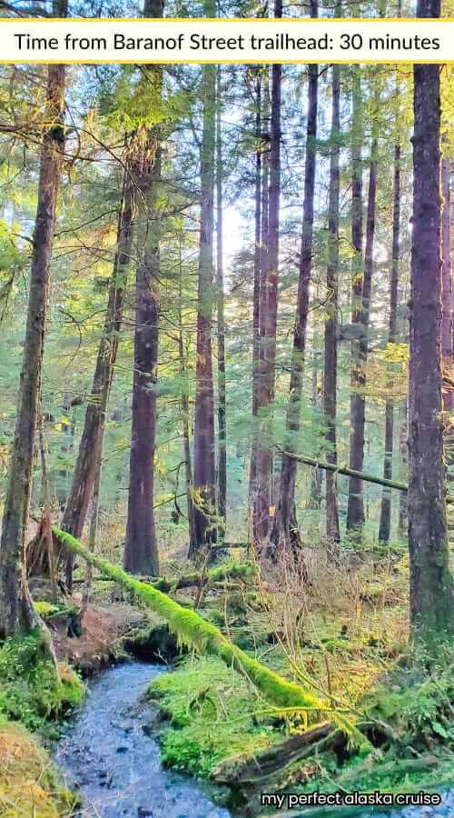 hiking in sitka alaska