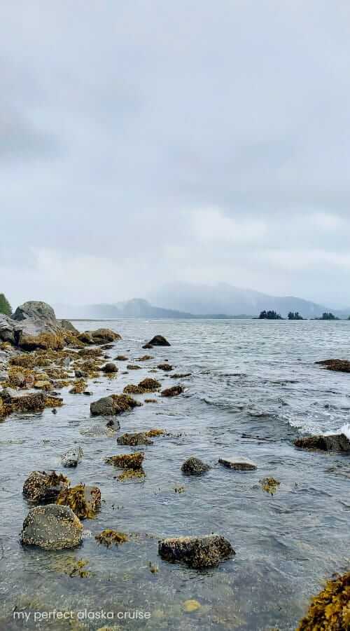 sage beach ocean in sitka alaska