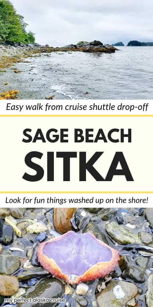 sage beach sitka alaska tidepools. free things to do in sitka cruise port