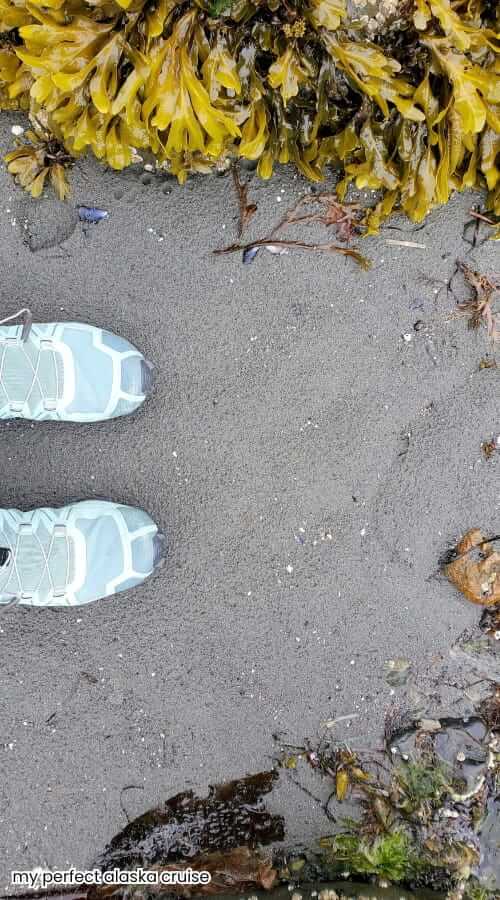what shoes to wear tidepooling in sitka alaska