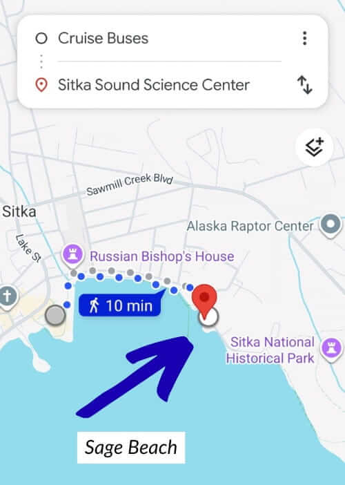 sitka cruise shuttle to sage beach and sitka sound science center
