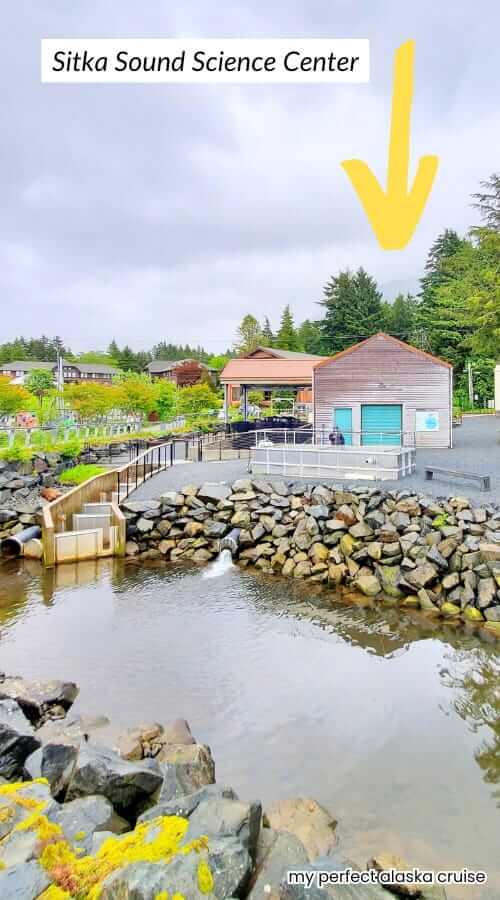 sitka sound science center